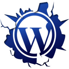 WordPress installation Pakistan